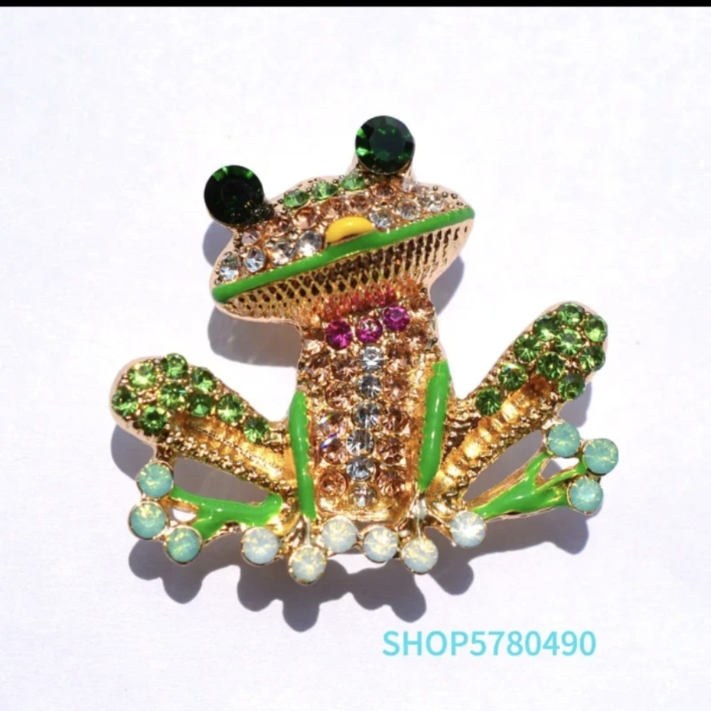 🆕🐸🐸 Little Frog Brooche